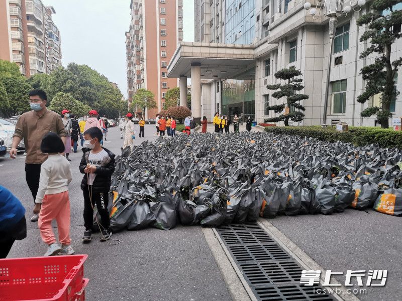 780份蔬菜包送到了湘林小區(qū)院內。長沙晚報實習生 羅楊 攝